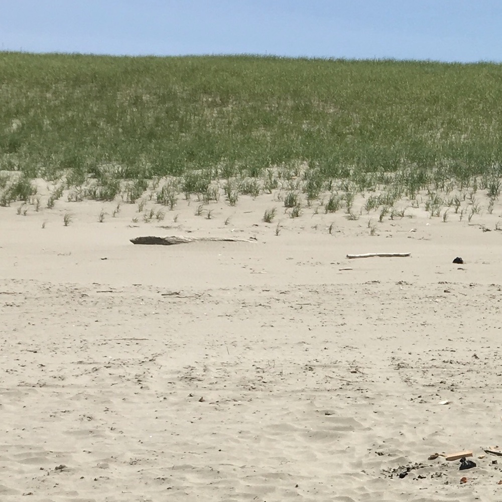 Meet your Posher, Romero